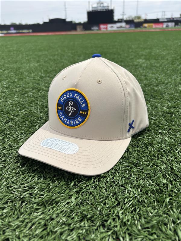 CapX Stone Genesis Snapback