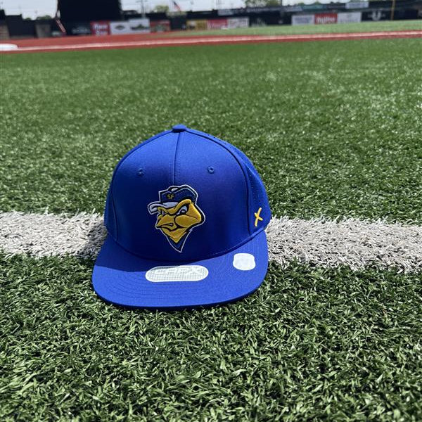CapX On-Field Royal Birdhead Cap
