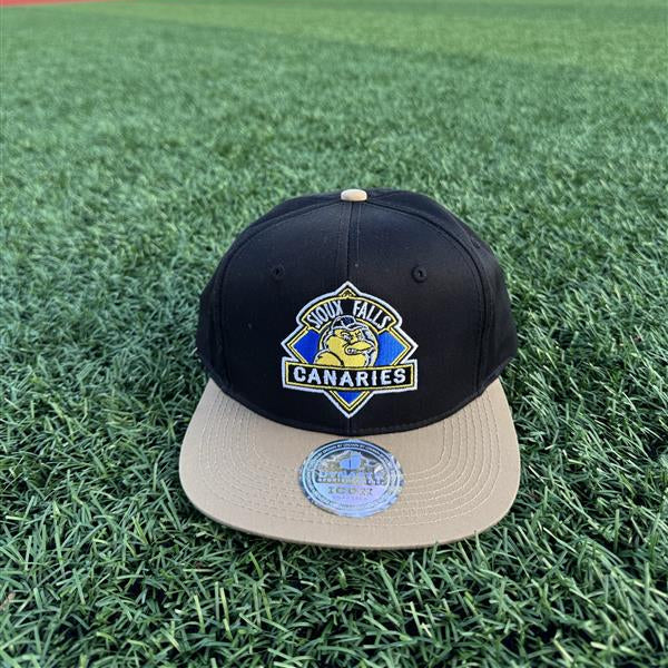 Dynasty Retro Primary Snapback