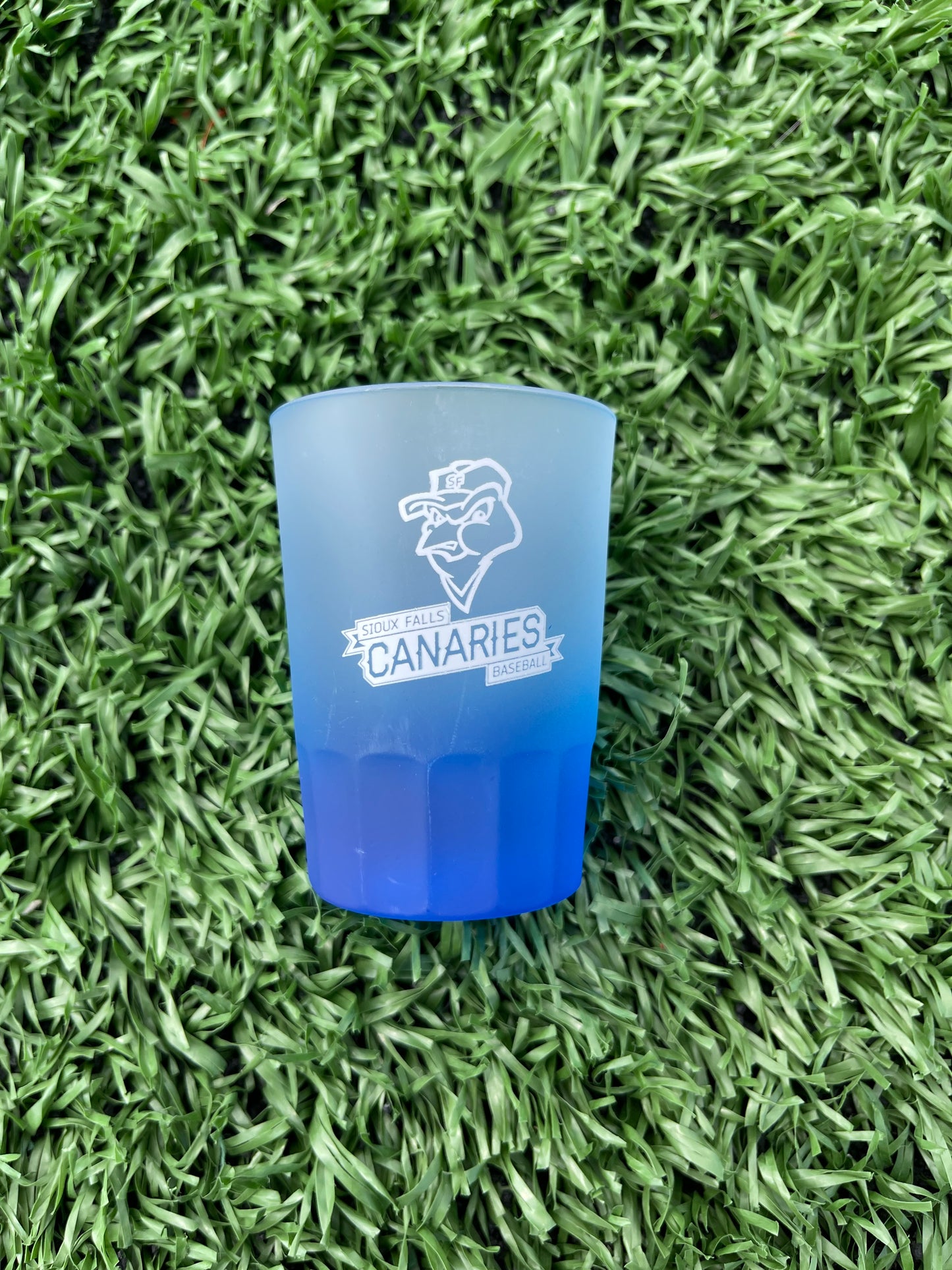 Frosted 2 Oz. Canaries Shot Glass