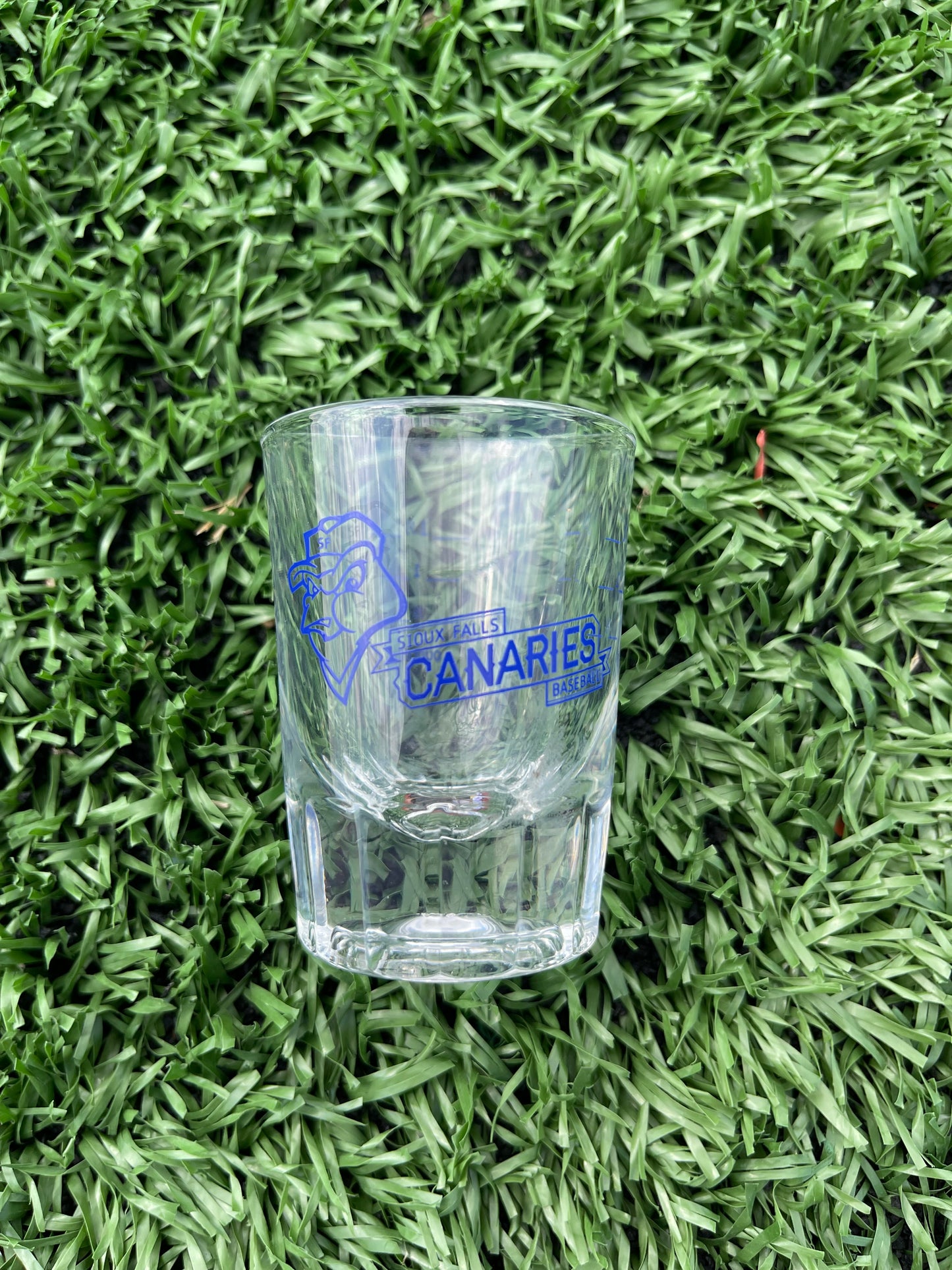 Clear 2oz. Canaries Shot Glass