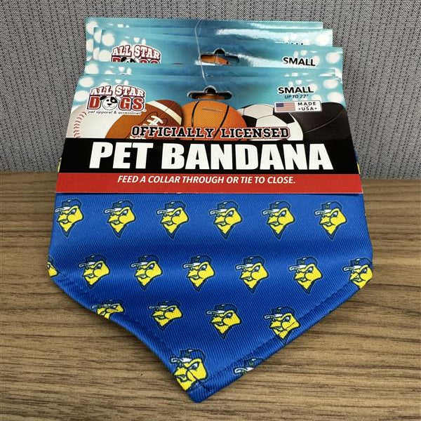 Pet Bandana