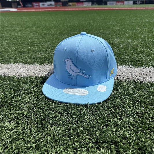 CapX Powder Retro Bird Cap