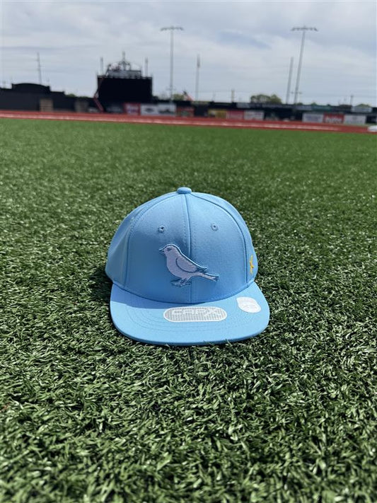 CapX Youth Powder Retro Bird Cap