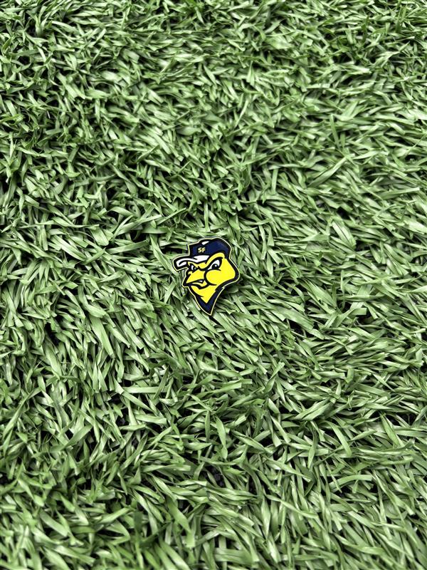 Birdhead Lapel Pin