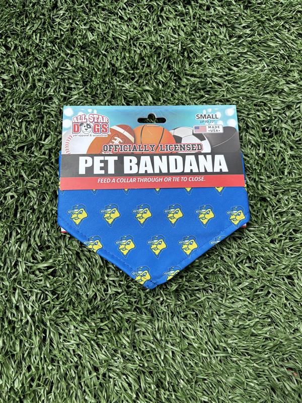 Pet Bandana