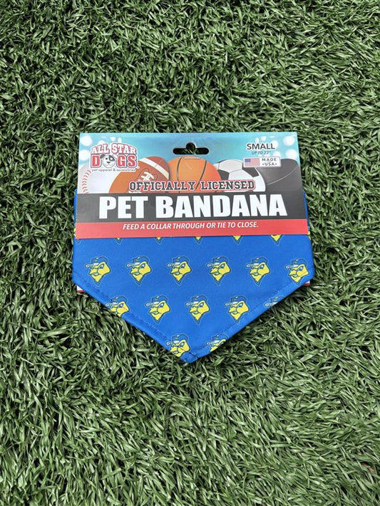 Pet Bandana
