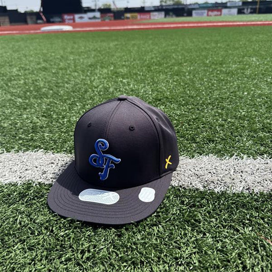 CapX Black SF Cap