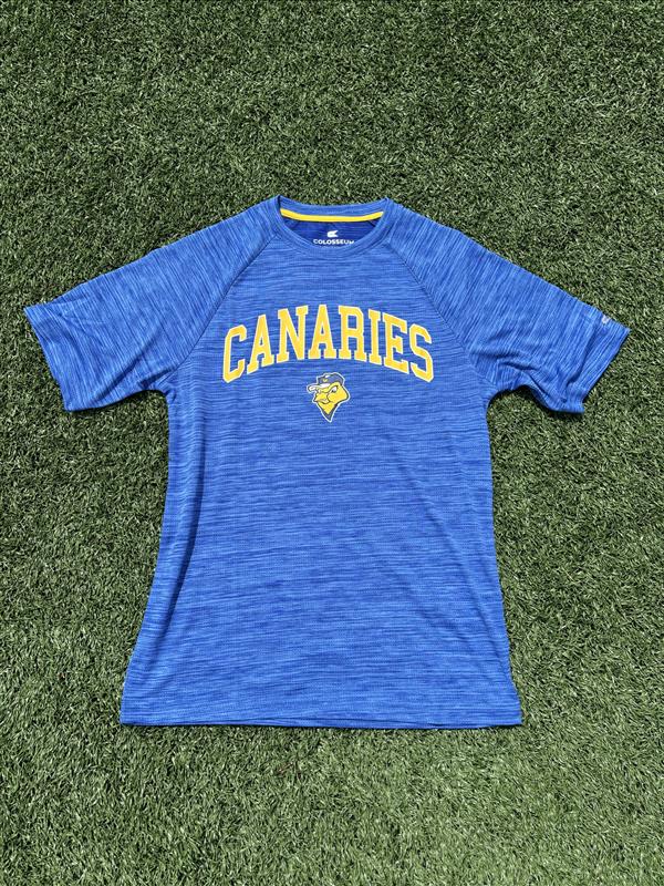 Men's Raglan Tee