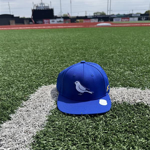 CapX Youth Royal On-Field Retro Bird Cap