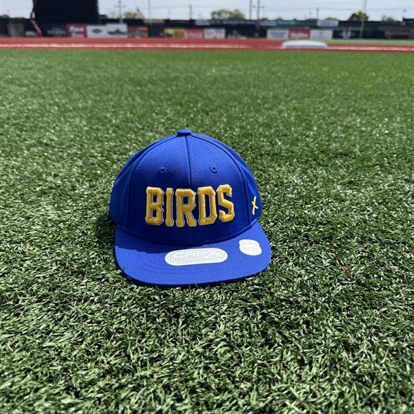 CapX Youth Royal BIRDS Cap