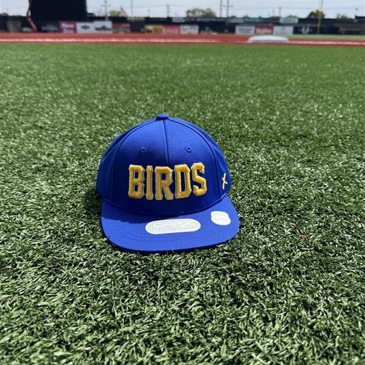 CapX Youth Royal BIRDS Cap