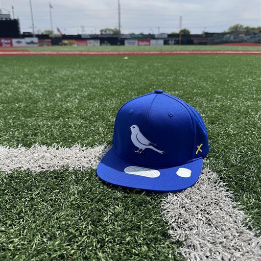 CapX On-Field Retro Bird Cap