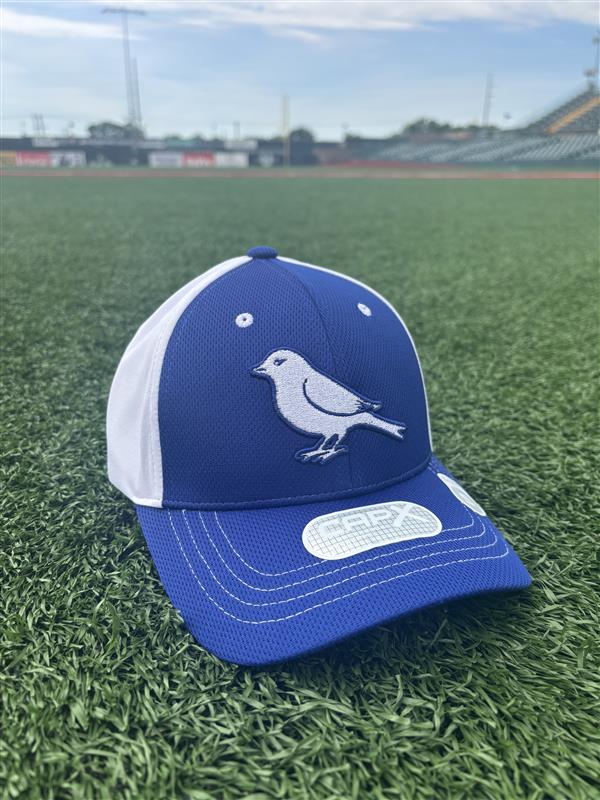 Retro Bird Momentum Hat