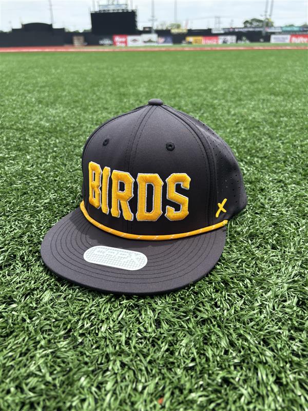 CapX Black BIRDS Snapback