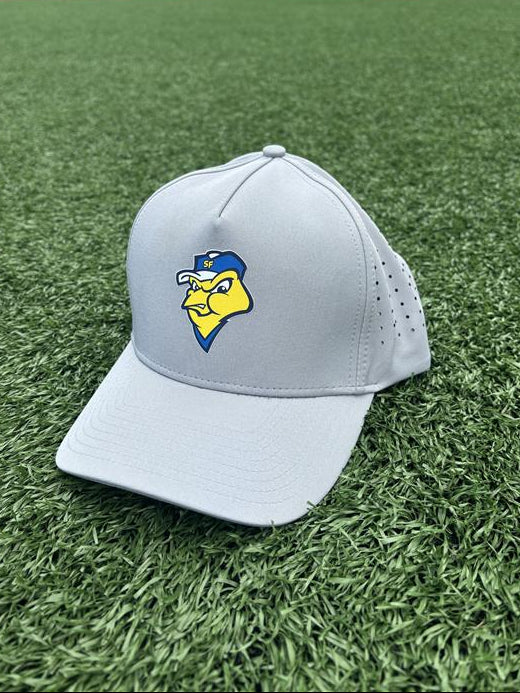 Grey Canaries Monarch Snapback